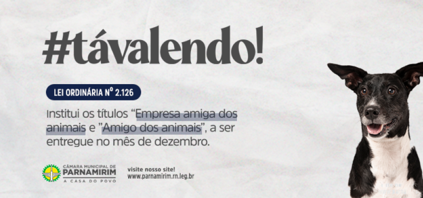 #TaValendo: Câmara de Parnamirim concederá títulos a empresas e pessoas ativistas em defesa dos animais