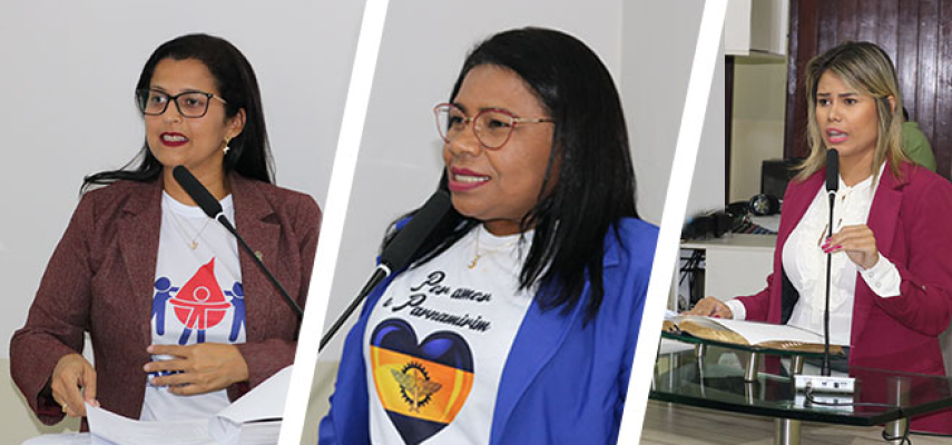 Poder Legislativo cria comissão temporária de acompanhamento da covid-19