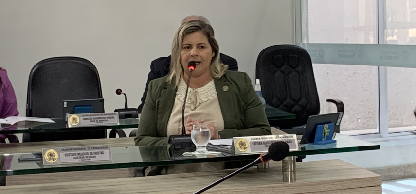 27ª Sessão Ordinária debate revitalização de centro e segurança em escolas