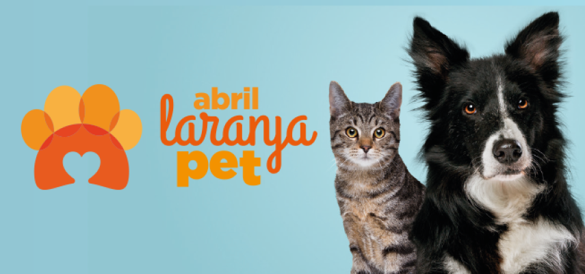 Câmara de Parnamirim realiza o evento Abril Laranja Pet