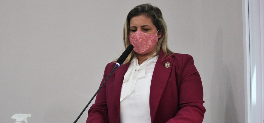 Educação municipal é pauta em Audiência Pública proposta pela vereadora Fativan Alves