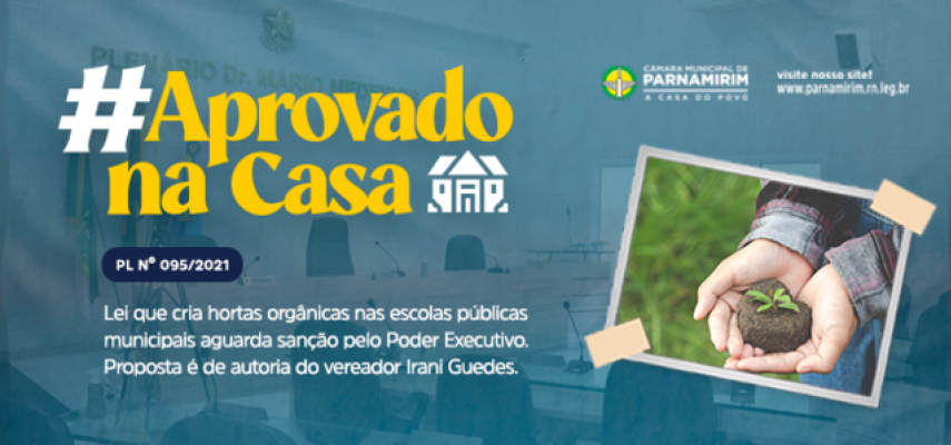#AprovadoNaCasa: Lei que cria hortas orgânicas nas escolas públicas aguarda sanção do Poder Executivo