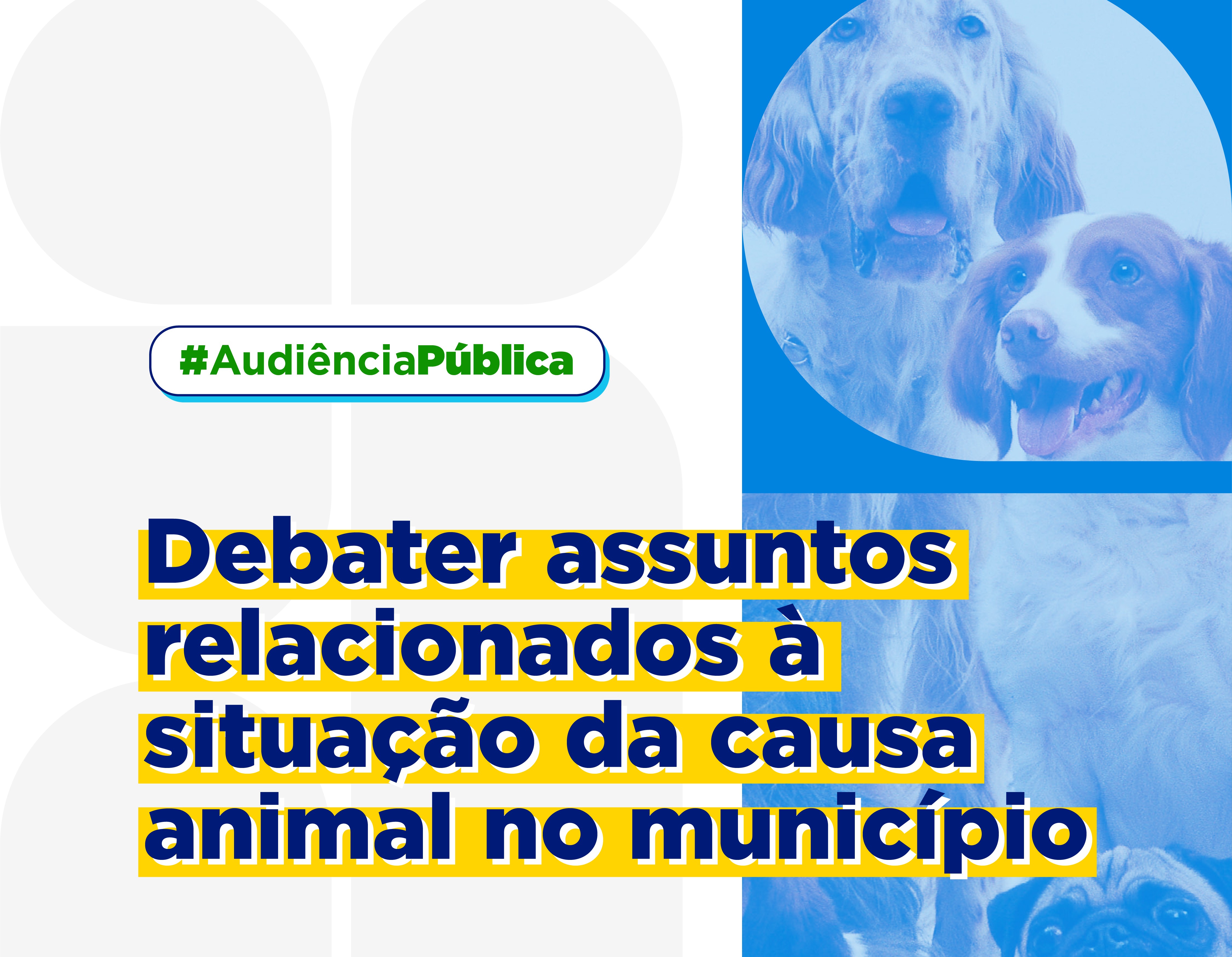 Câmara Municipal promove ações em prol da causa animal