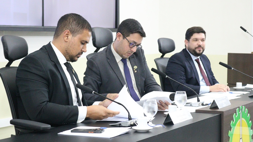 comissao-de-cultura-e-desporto-realiza-5a-reuniao-de-2025-com-aprovacao-de-projetos-e-dialogo-com-a-sel