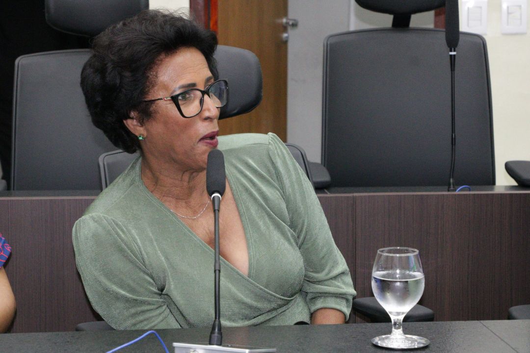 27.11.2025 | Audiência Pública - Discutir a Valorização dos Profissionais da Limpeza Urbana no Munícipio - Foto 12