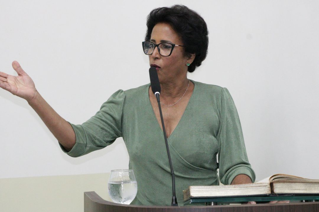 27.11.2025 | Audiência Pública - Discutir a Valorização dos Profissionais da Limpeza Urbana no Munícipio - Foto 30