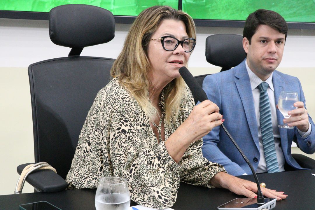 11.11.25 | Audiência Pública - Discutir a Infraestrutura, Educação e Saúde do Bairro Encanto Verde - Foto 5