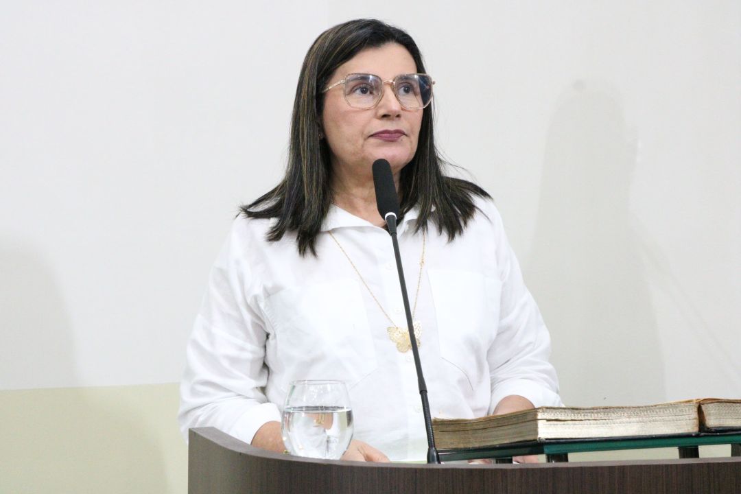 11.11.25 | Audiência Pública - Discutir a Infraestrutura, Educação e Saúde do Bairro Encanto Verde - Foto 15