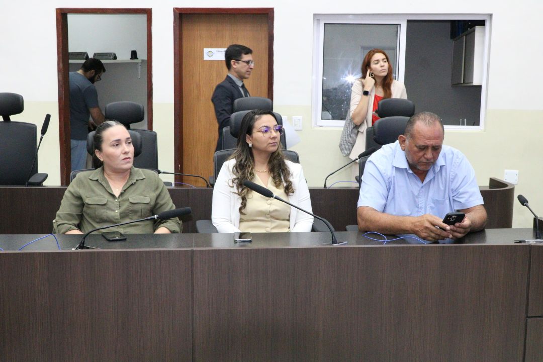 12.11.2025 | Audiência pública sobre cadastro e credenciamento de ambulantes - Foto 8