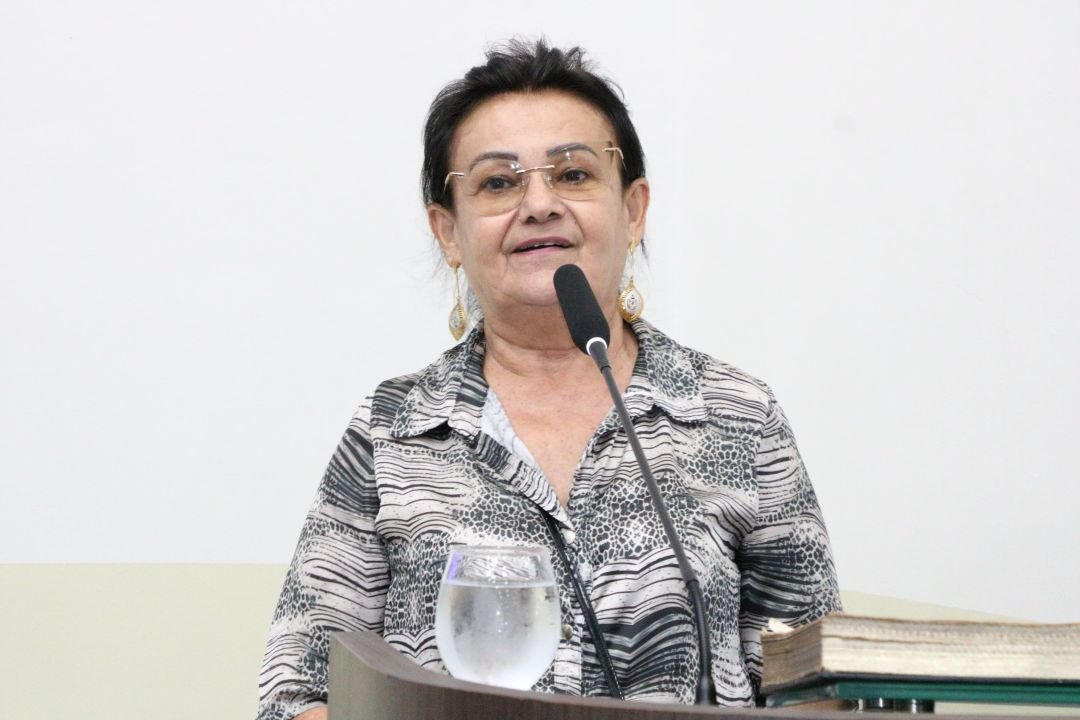 12.11.2025 | Audiência pública sobre cadastro e credenciamento de ambulantes - Foto 17