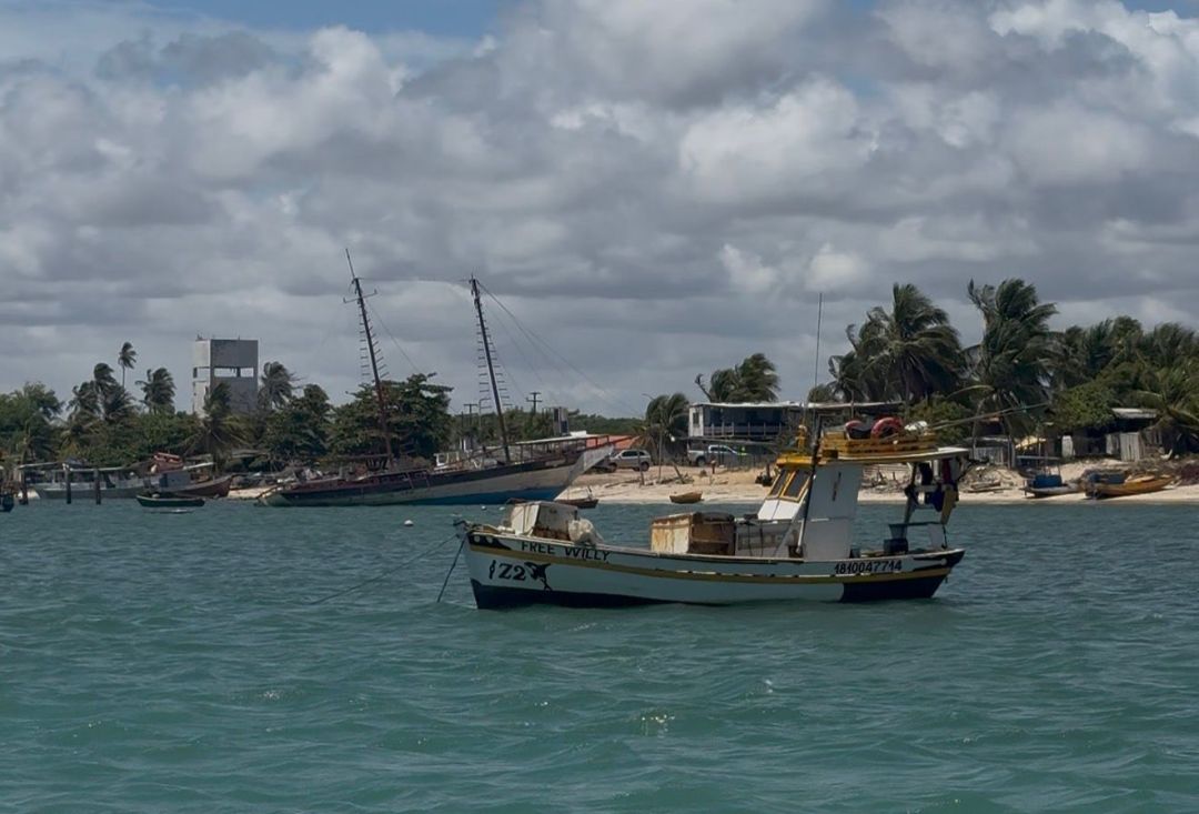 13.11.2025 | Passeio Barco Escola Chama Maré - Foto 1