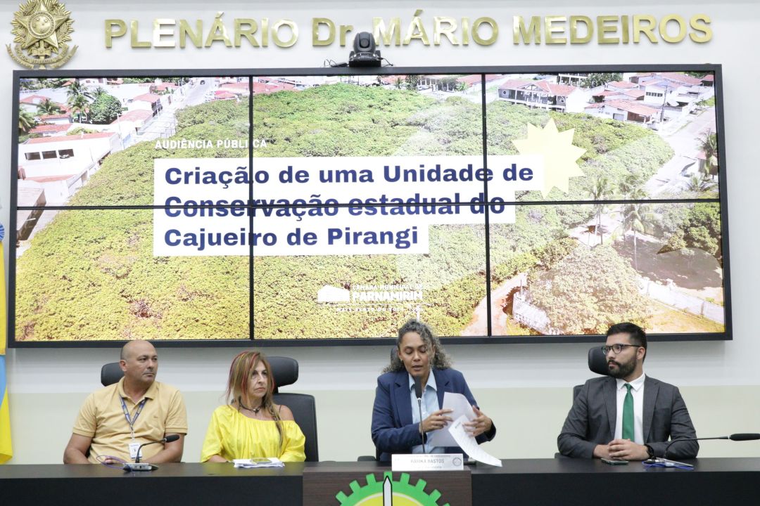 25.11.2025 | Audiência pública sobre criação unidade de conservação no Cajueiro de Pirangi - Foto 1