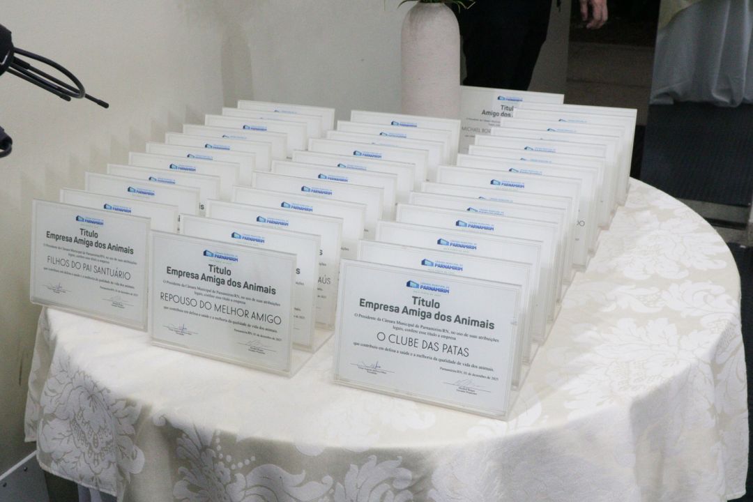 01.12.2025 | Sessão soelene Empresa Amiga dos Animais, e Amigos dos Animais - Foto 4