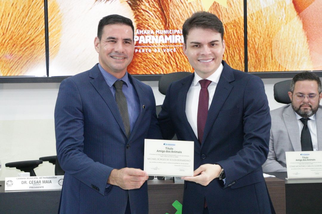 01.12.2025 | Sessão soelene Empresa Amiga dos Animais, e Amigos dos Animais - Foto 53