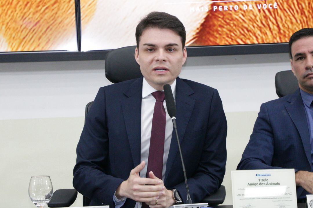 01.12.2025 | Sessão soelene Empresa Amiga dos Animais, e Amigos dos Animais - Foto 60