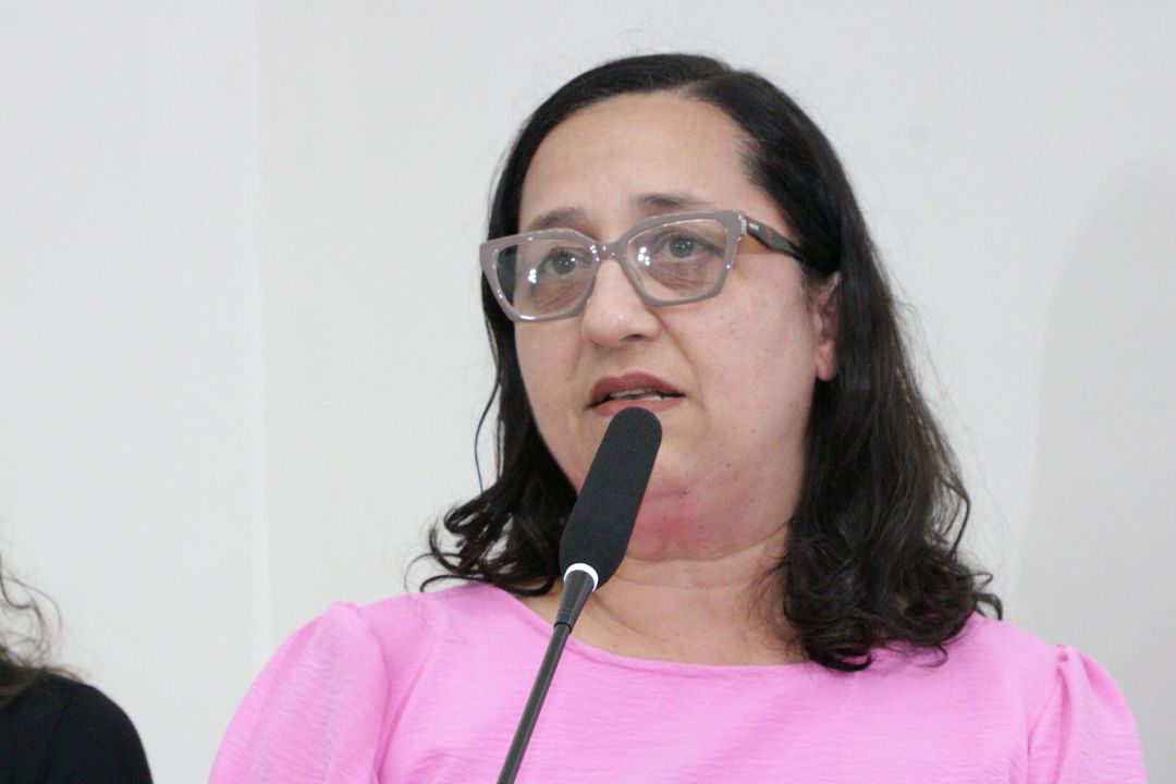 10.12.2025 | Audiência Pública - situação da Saúde Bucal - Foto 14