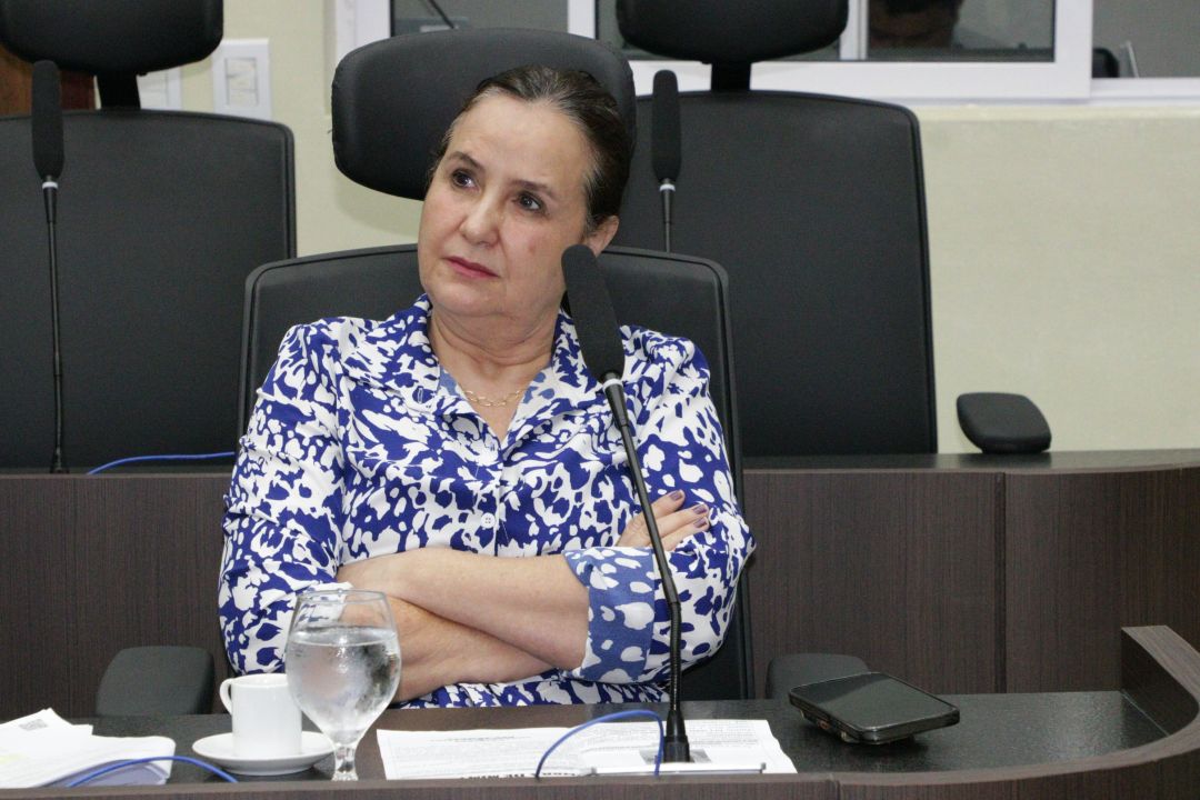 11.12.2025 | AP Democracia e Contagem Pública de Votos - Foto 5