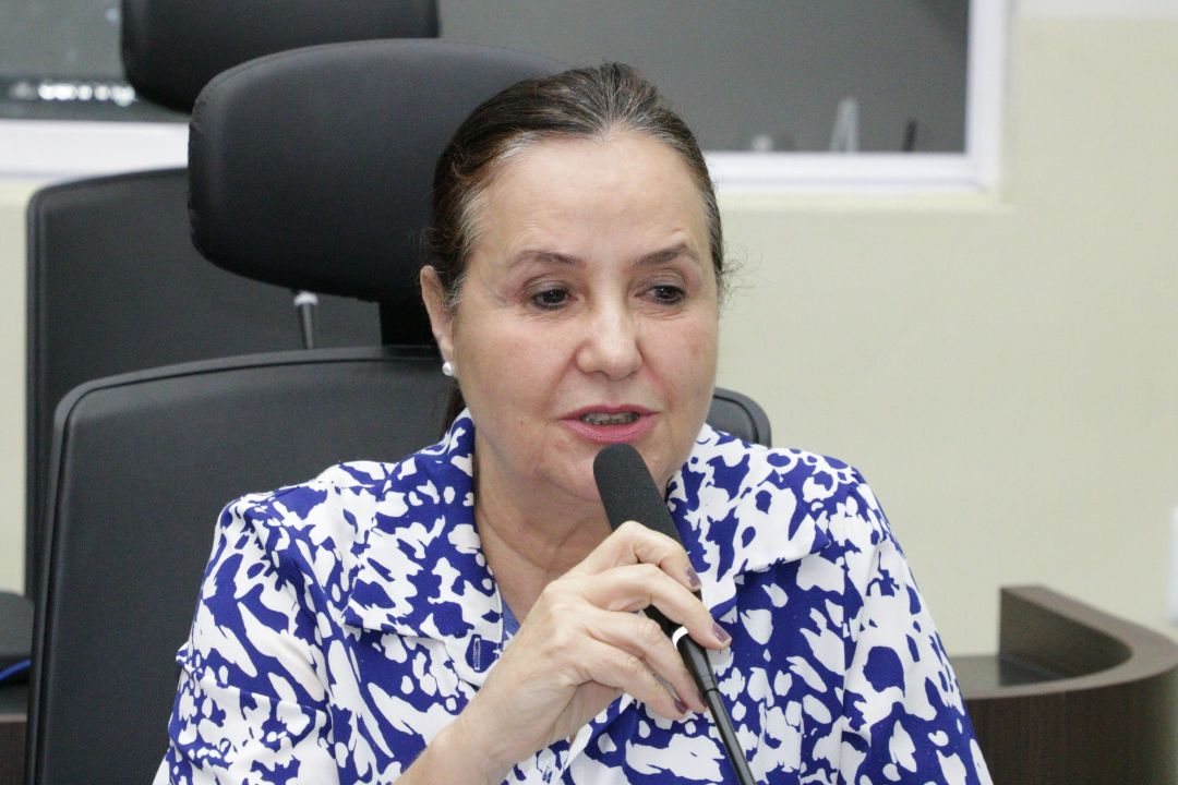 11.12.2025 | AP Democracia e Contagem Pública de Votos - Foto 9