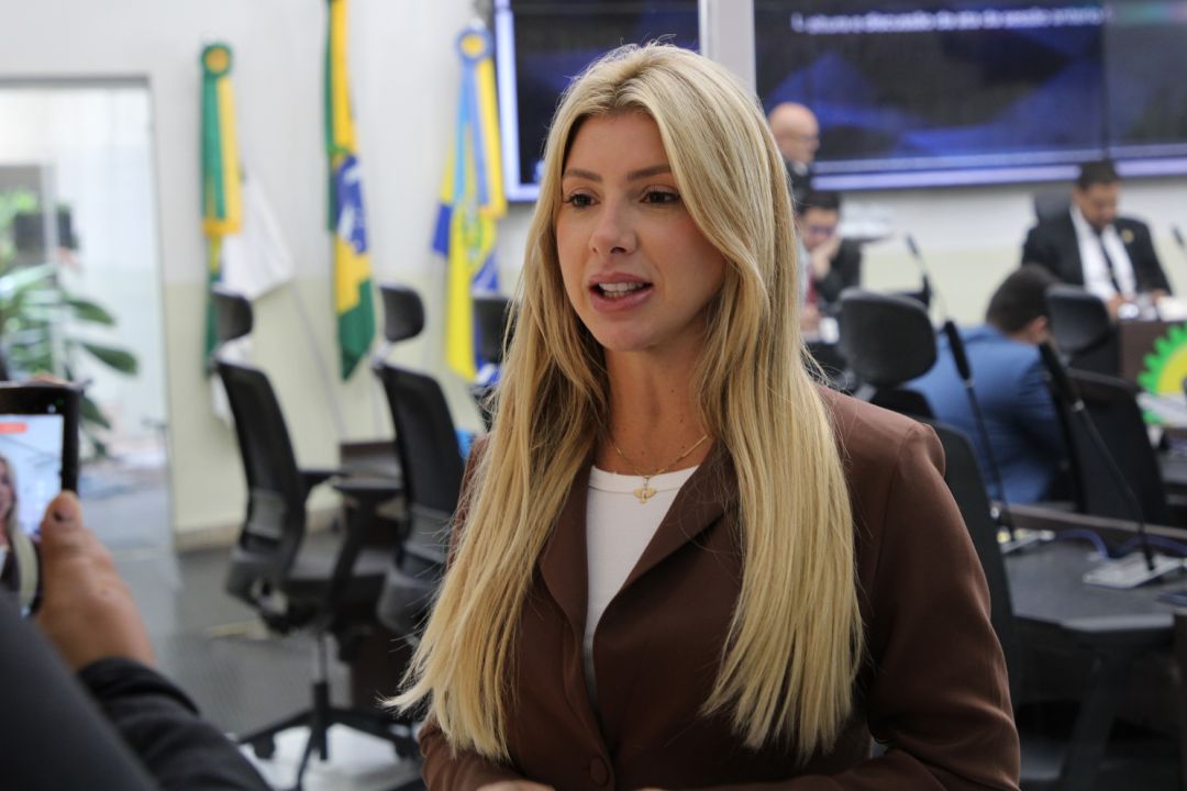 04.03.2026 | 11ª Sessão Ordinária - Foto 1