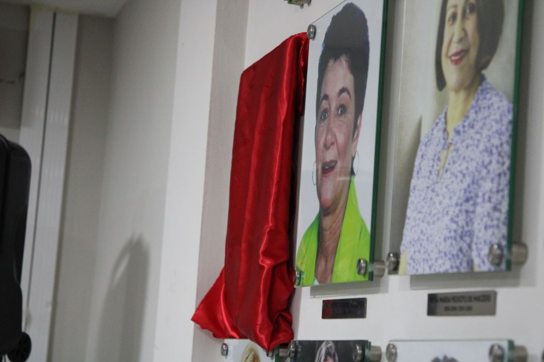 Homenagem à ex-vereadora Gizelda Paiva - Foto 8