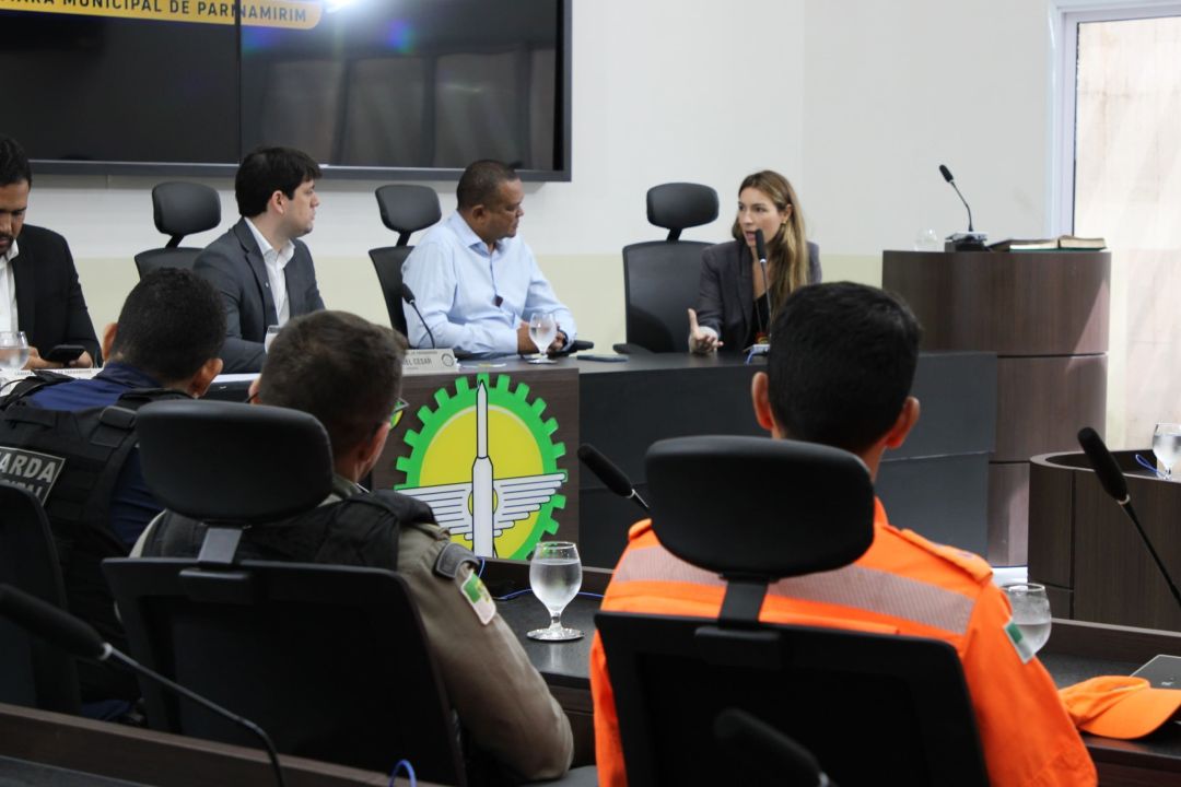 Reunião com a Comissão de Segurança - Foto 9